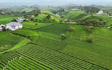 TP.HCM định hình tầm nhìn 100 năm, hướng đến đô thị toàn cầu
