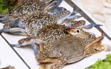 Xuất khẩu ghẹ tăng tốc nhưng áp lực tái cấu trúc thị trường ngày càng rõ nét