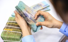 Gần 80 triệu cử tri sẽ tham gia bầu cử vào ngày 15/3