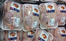 Việt Nam nhập khẩu hơn 56.500 tấn thịt gia cầm từ châu Âu