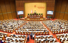 Kim ngạch xuất khẩu thanh long vượt 100 triệu USD