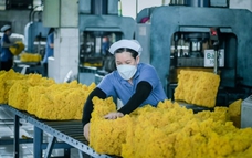 Quý I, xuất khẩu cao su tăng 8% về lượng và 2,4% về trị giá