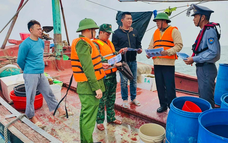 Quyết liệt gỡ “thẻ vàng” IUU cho thuỷ sản Việt Nam