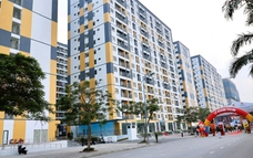 Công bố chương trình "Chuẩn hóa năng lực nghề nghiệp cho nhà sáng tạo nội dung thương mại số"