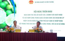 Trung Quốc mở cửa chính ngạch cho bưởi và chanh tươi Việt Nam