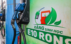 Việt Nam đủ nguồn cung ethanol để phối trộn xăng E10