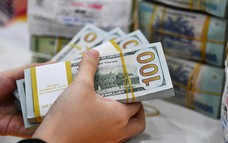 Những yếu tố góp phần hỗ trợ ổn định tỷ giá