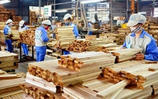 Xuất khẩu gỗ tăng trưởng nhưng vẫn đối mặt nhiều thách thức