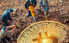 Giá Bitcoin hôm nay 20/6: Giá BTC thấp hơn chi phí khai thác 5 tháng liên tiếp