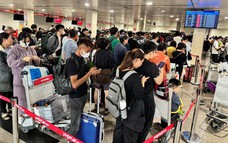 Hơn 18.000 sản phẩm "lên sàn" truy xuất nguồn gốc nông, lâm, thủy sản 