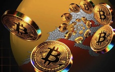Giá Bitcoin hôm nay 29/6: Fidelity giải thích cơ chế halving của Bitcoin