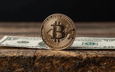 Giá Bitcoin hôm nay 13/7: Bitcoin bước vào giai đoạn sau của thị trường gấu