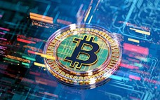 Giá Bitcoin hôm nay 16/7: Các quỹ Bitcoin spot ETF hút ròng 181 triệu USD