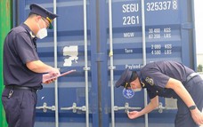 Từ 15/9, nhiều thủ tục phân loại hàng hóa xuất nhập khẩu được đơn giản hóa