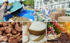 Tháo gỡ điểm nghẽn, hướng tới mục tiêu xuất khẩu nông, lâm, thủy sản vượt 74 tỷ USD