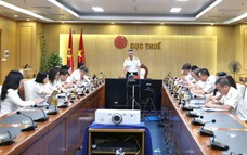 Ngành Thuế thu ngân sách đạt 72% dự toán