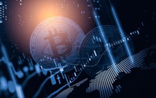 Giá Bitcoin hôm nay 17/8: Tháng 10 là cột mốc quan trọng của Bitcoin