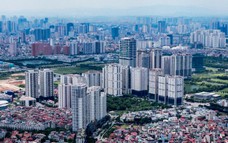 Xuất khẩu hạt điều đạt giá trị khoảng 2,9 tỷ USD trong 7 tháng
