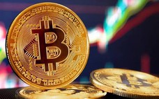 Giá Bitcoin hôm nay 22/8: Chuyên gia dự báo về Bitcoin thời gian tới