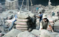 Việt Nam vươn lên vị trí thứ hai trong nhóm các nhà cung cấp xi măng cho Mỹ