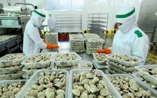 Nghêu Việt tăng tốc tại các thị trường chủ lực