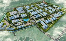 VMA và AgriS hợp tác thúc đẩy đổi mới sáng tạo, xây dựng thương hiệu Việt vươn ra quốc tế
