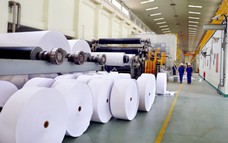 499 sản phẩm của 227 doanh nghiệp đạt Thương hiệu quốc gia Việt Nam năm 2026