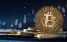 Giá Bitcoin hôm nay 9/9: Bitcoin vẫn nghiêng về xu hướng giảm giá