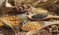 Giá lương thực thế giới giảm tháng thứ hai liên tiếp