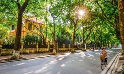 Việt Nam đứng thứ 4 trong danh sách điểm đến mùa thu nổi bật thế giới