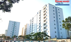 Đà Nẵng: Ra mắt chuyên mục Hướng dẫn thuê, mua Nhà ở xã hội