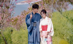 Lên Fansipan, ngắm mùa hoa anh đào ngợp ngời trên đỉnh thiêng