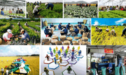 Tính đến hết năm 2025, cả nước có hơn 36 nghìn hợp tác xã