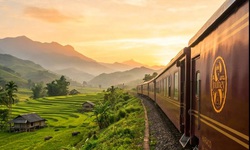 Sắp ra mắt tour tàu hỏa cao cấp xuyên Việt giá 1,7 tỉ đồng