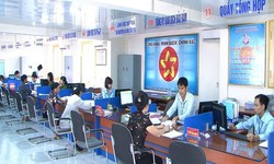 TP HCM: Đặt mục tiêu điểm số PCI 2026 xếp hạng top 5 cả nước
