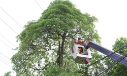 Chủ động sử dụng điện an toàn để bảo vệ chính mình