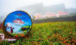 Sa Pa: Choáng ngợp thảm hoa dơn thóc trên đỉnh Fansipan