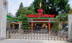 Hà Nội: Di dời 58 cơ sở để dành quỹ đất làm trường học, trồng cây xanh