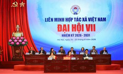 Đại hội VII Liên minh HTX Việt Nam: Khơi dậy sức mạnh hợp tác phát triển kinh tế tập thể