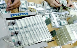 Dự trữ ngoại hối sẽ cán mốc 100 tỷ USD