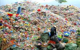 Hà Nội: Giảm thiểu chất thải nhựa tại cơ quan hành chính