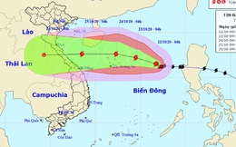 Bão số 8 mạnh lên nhanh chóng, giật cấp 14