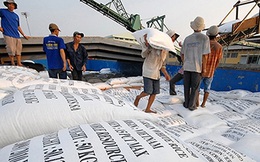 Xuất khẩu gạo 9 tháng đầu năm tăng trưởng tốt