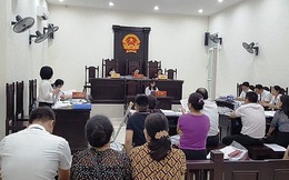 Vụ tranh chấp tại Trường liên cấp Pascal:
Hợp đồng trái quy định, cần được tòa tuyên vô hiệu?