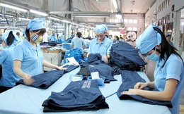 Xuất khẩu sang EU chưa bứt phá dù đã có EVFTA