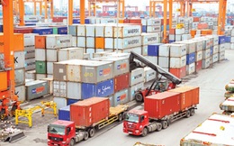 Ngành Hải quan thu ngân sách đạt hơn 247.000 tỷ đồng