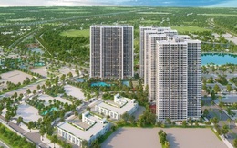 Bức tranh thị trường bất động sản đang dần "sáng" lên