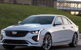 Xe sang Cadillac CT4 được 'gọi về' hãng do gắn sai phù hiệu