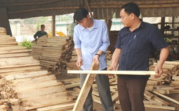 Quy định quản lý gỗ nhập khẩu, xuất khẩu