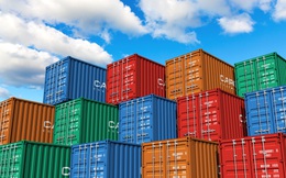Cước container tăng phi mã tác động như thế nào đến các doanh nghiệp xuất khẩu, đặc biệt nhóm thuỷ sản?